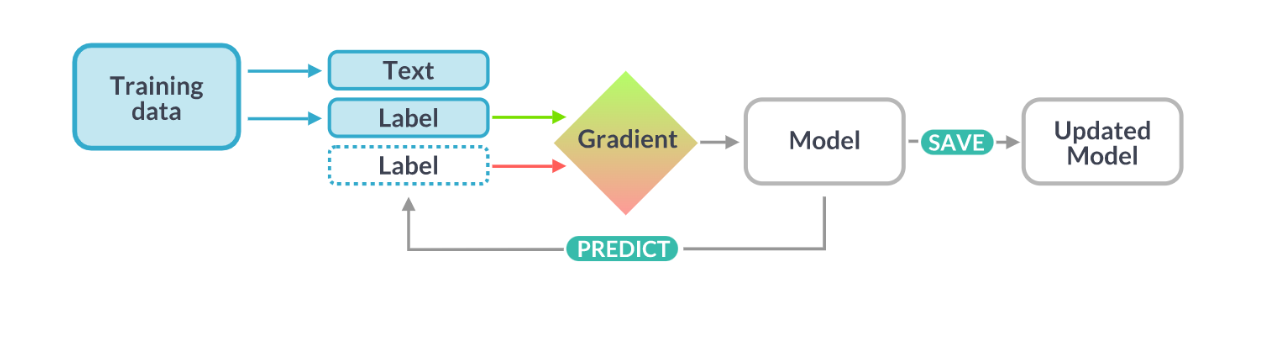 Training workflow for the Nonet